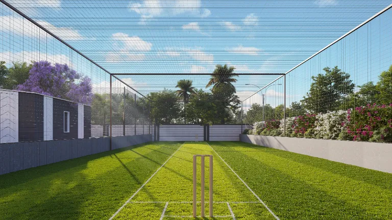 Box Cricket